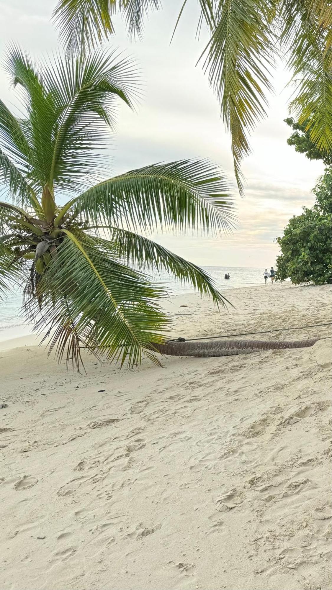 Alimas Holiday Retreat Maldives Felidhoo Esterno foto
